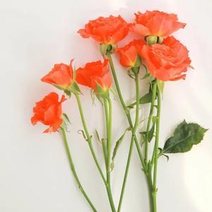 315曝光的3类黑心酒水,竟还在流通!喝的人要当心